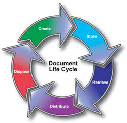 document cycle